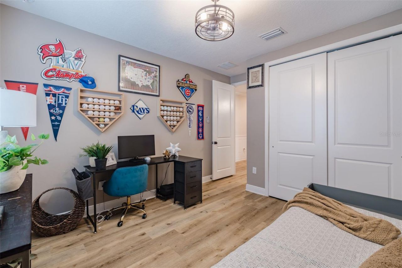 2388 Oakwood Preserve Drive, Wesley Chapel, FL 33543 Photo