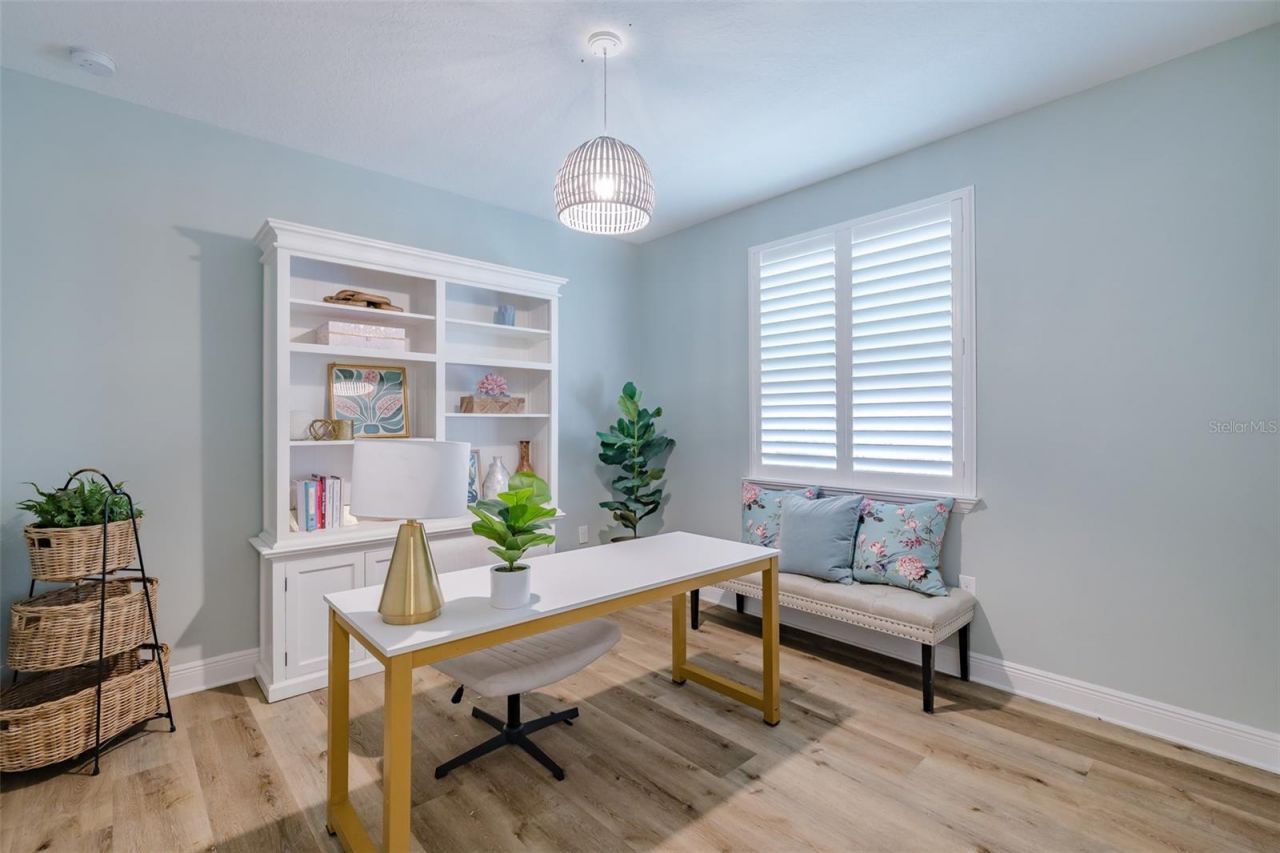 2388 Oakwood Preserve Drive, Wesley Chapel, FL 33543 Photo