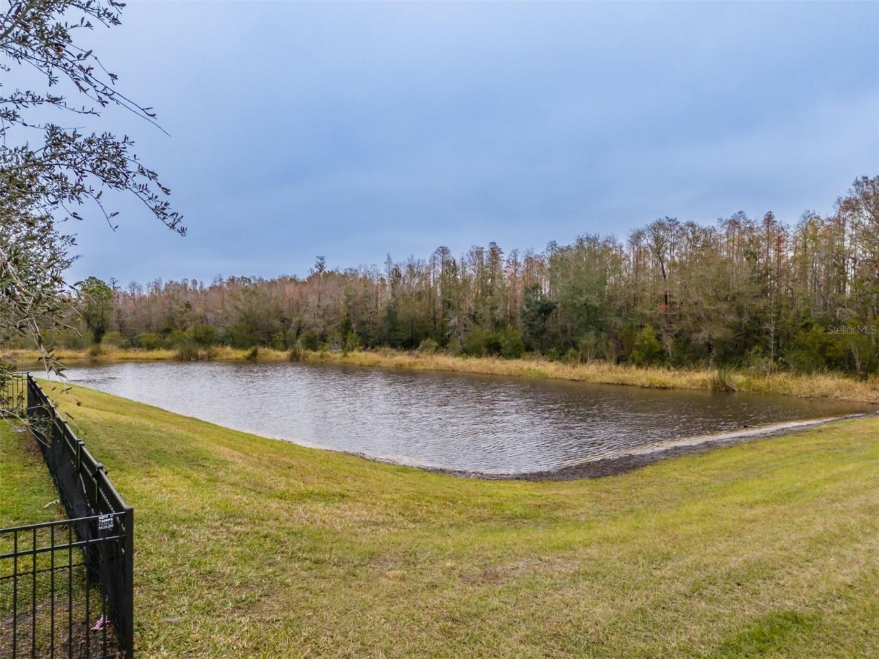 2388 Oakwood Preserve Drive, Wesley Chapel, FL 33543 Photo