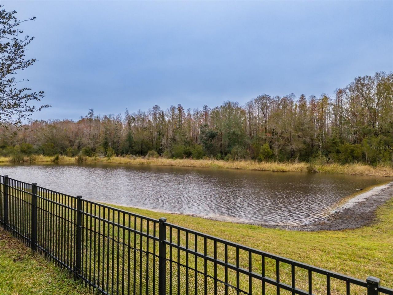 2388 Oakwood Preserve Drive, Wesley Chapel, FL 33543 Photo