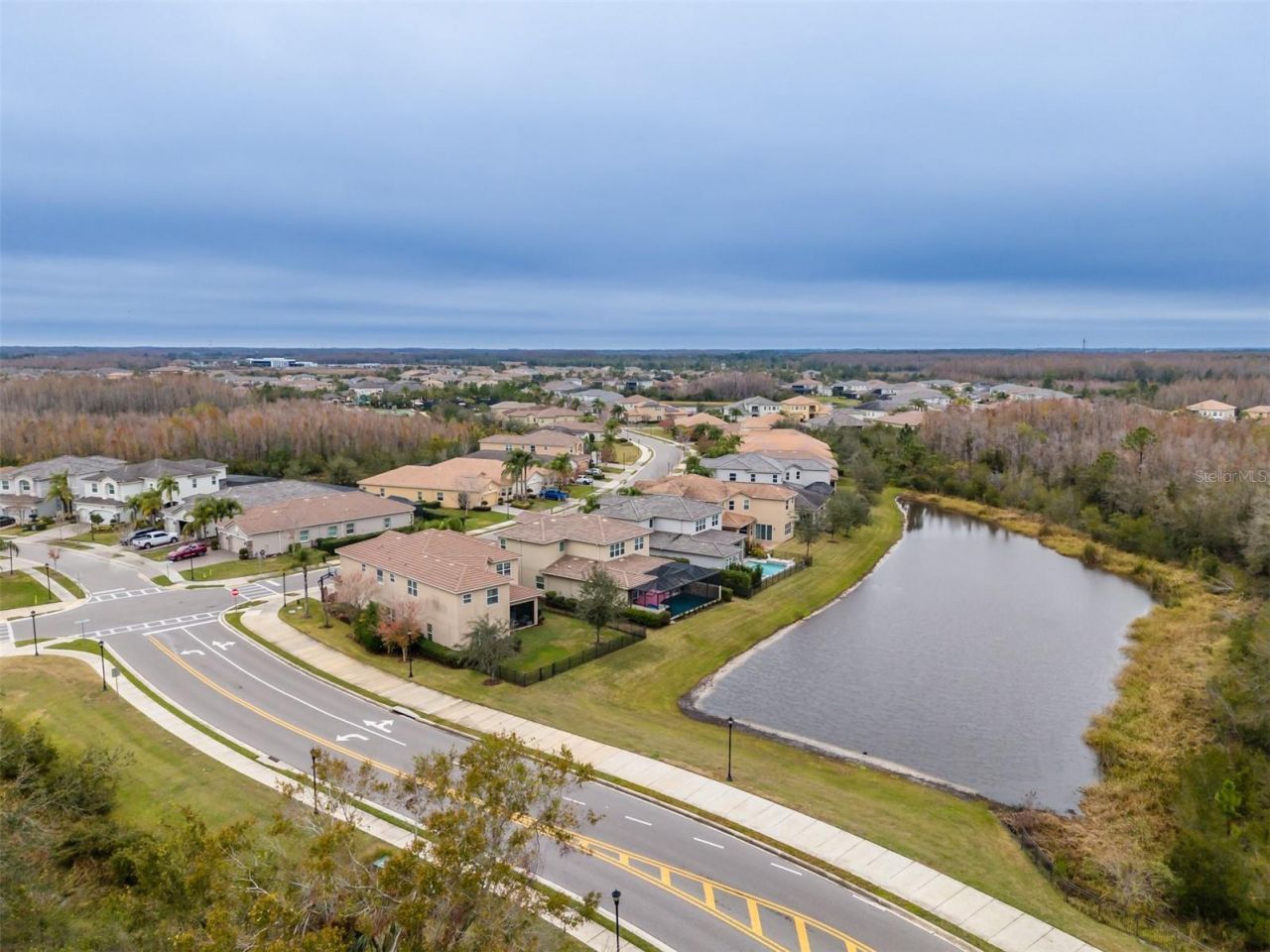 2388 Oakwood Preserve Drive, Wesley Chapel, FL 33543 Photo