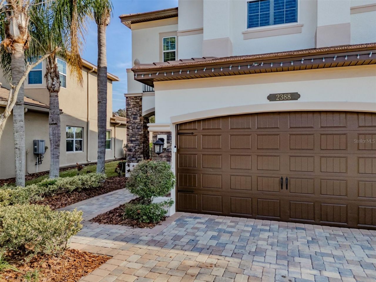 2388 Oakwood Preserve Drive, Wesley Chapel, FL 33543 Photo