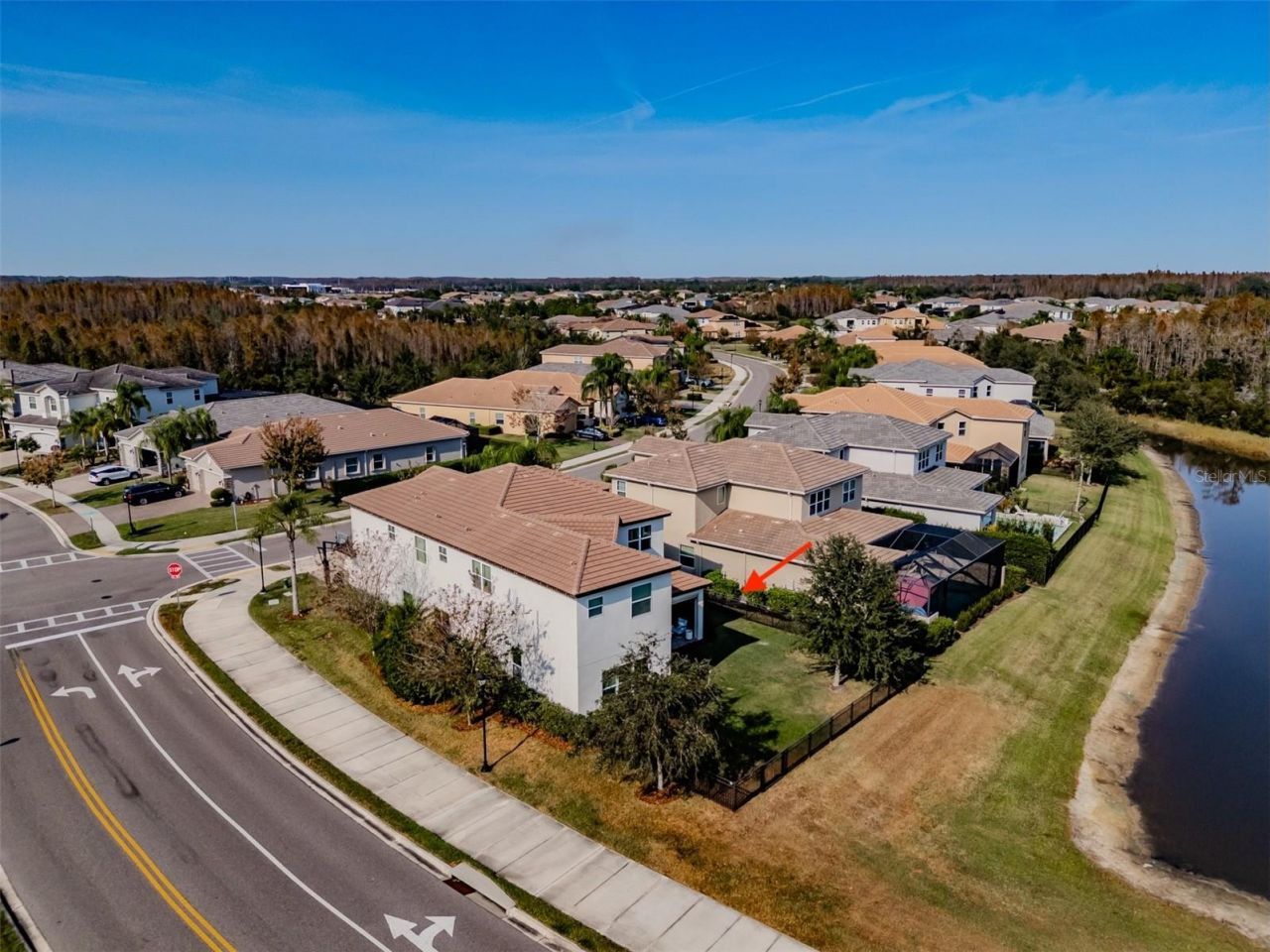 2388 Oakwood Preserve Drive, Wesley Chapel, FL 33543 Photo