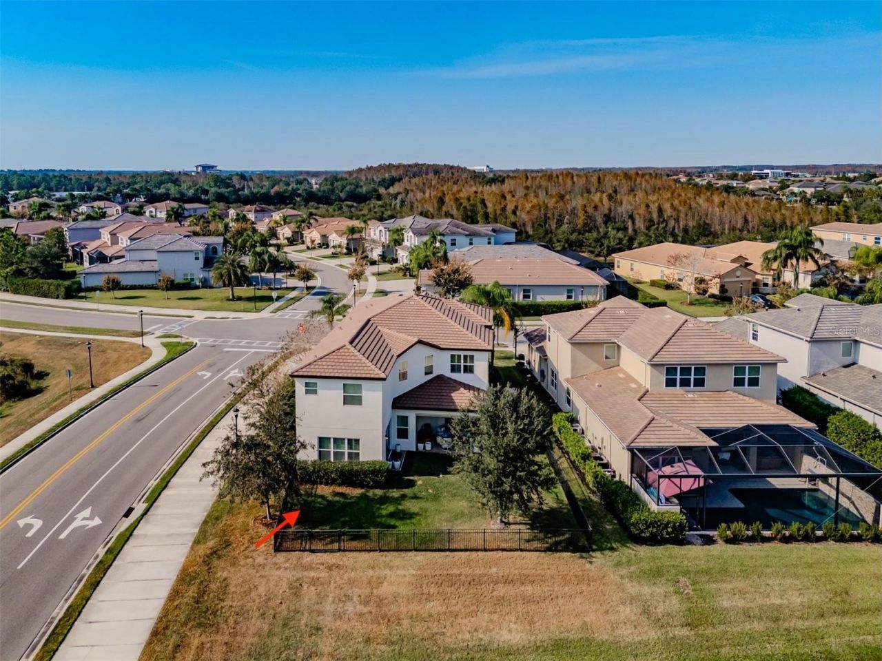 2388 Oakwood Preserve Drive, Wesley Chapel, FL 33543 Photo