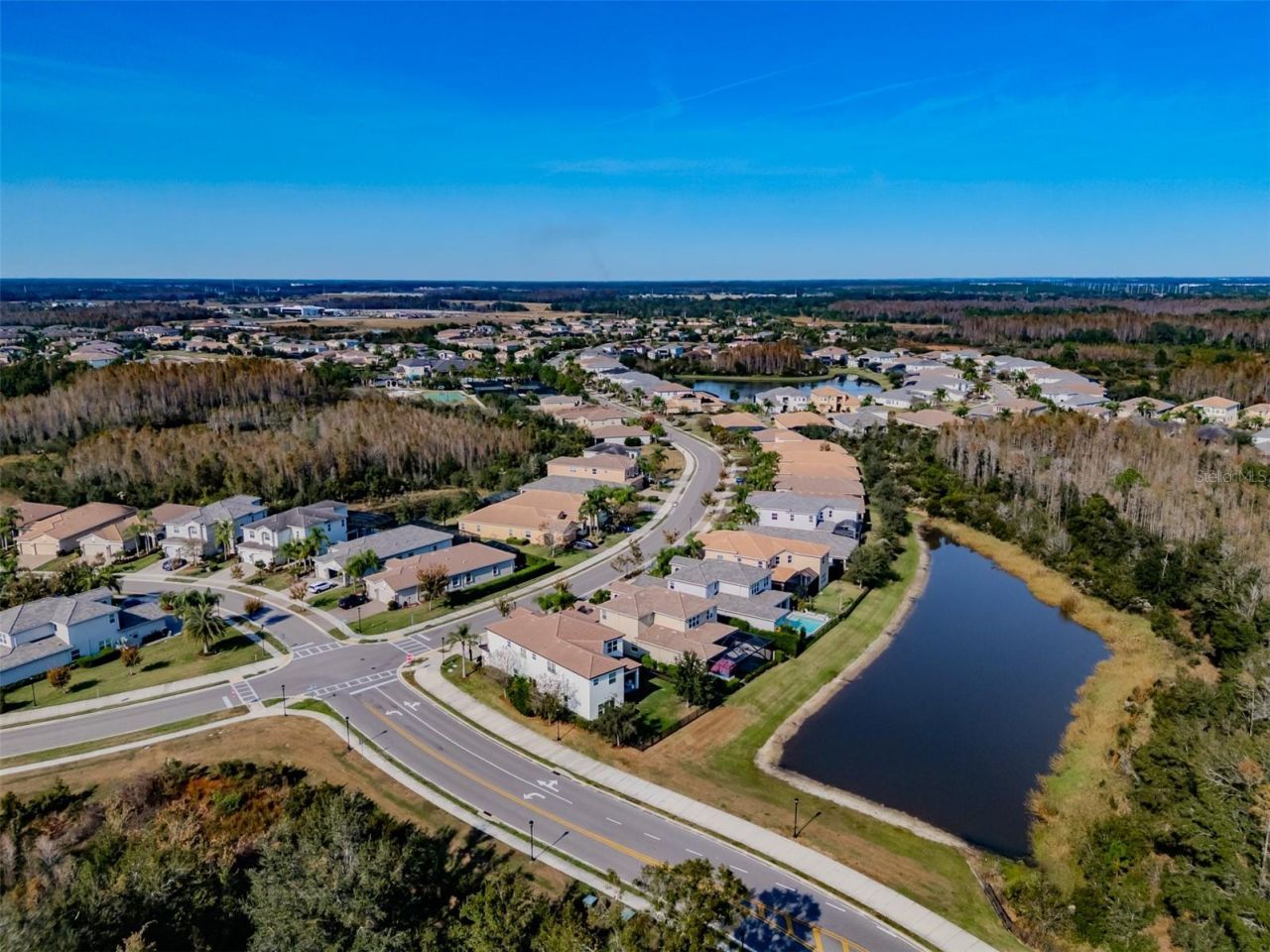 2388 Oakwood Preserve Drive, Wesley Chapel, FL 33543 Photo