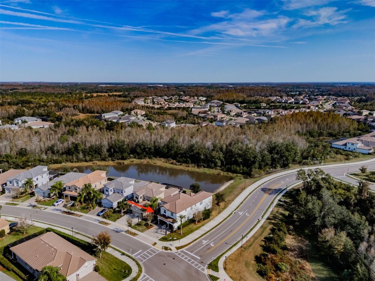 2388 Oakwood Preserve Drive, Wesley Chapel, FL 33543 Photo