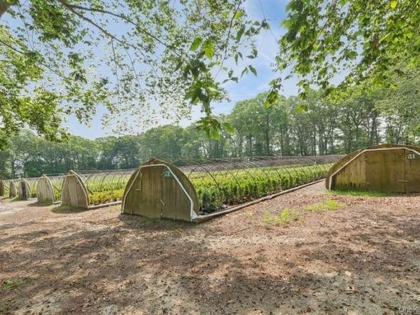 550 / 538 Herricks Lane, Jamesport, NY 11901