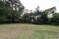 250 Pine Street photo 4