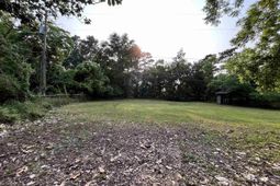 250 Pine Street photo 4