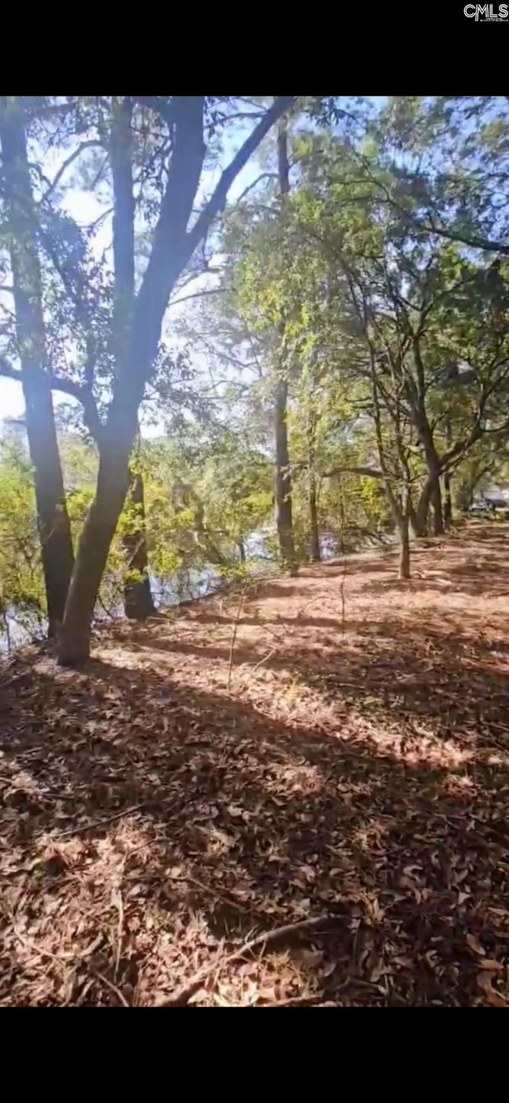 301 7th Avenue Photo 11