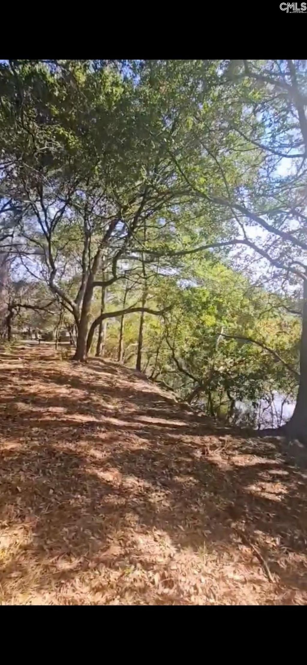 301 7th Avenue Photo 12