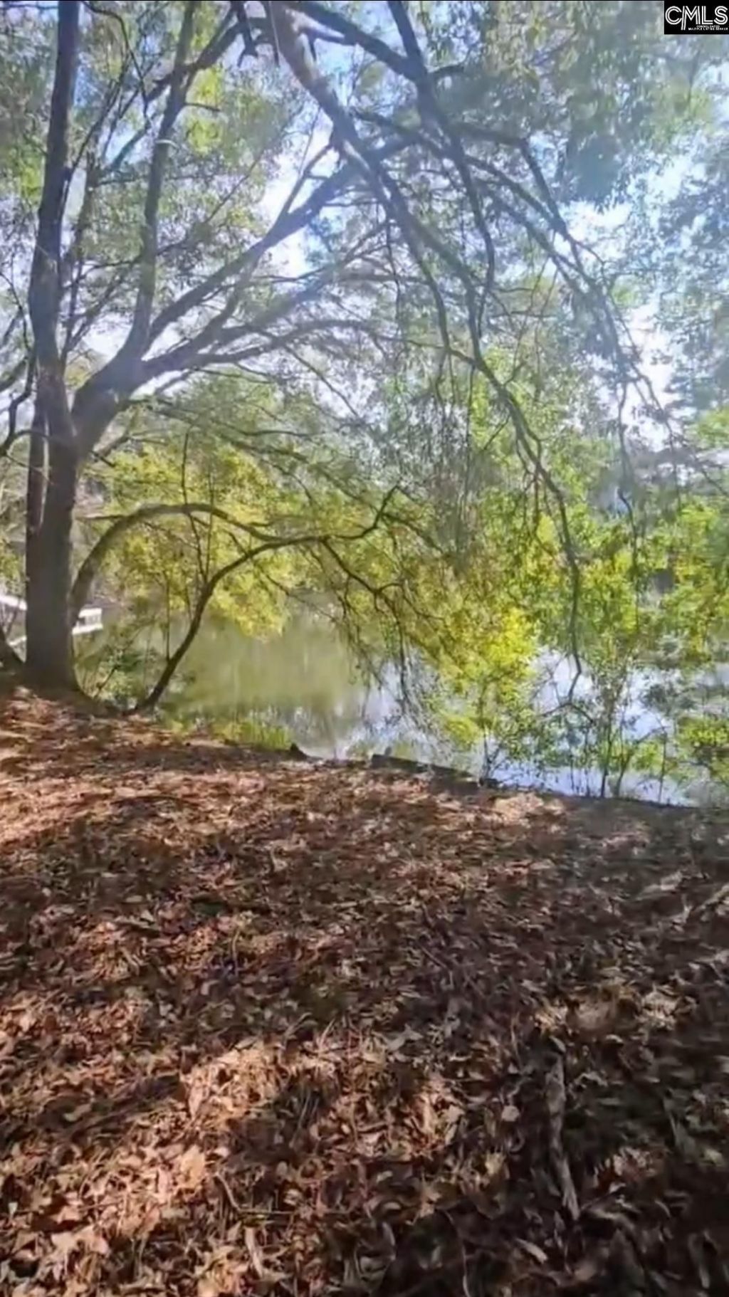 301 7th Avenue Photo 13