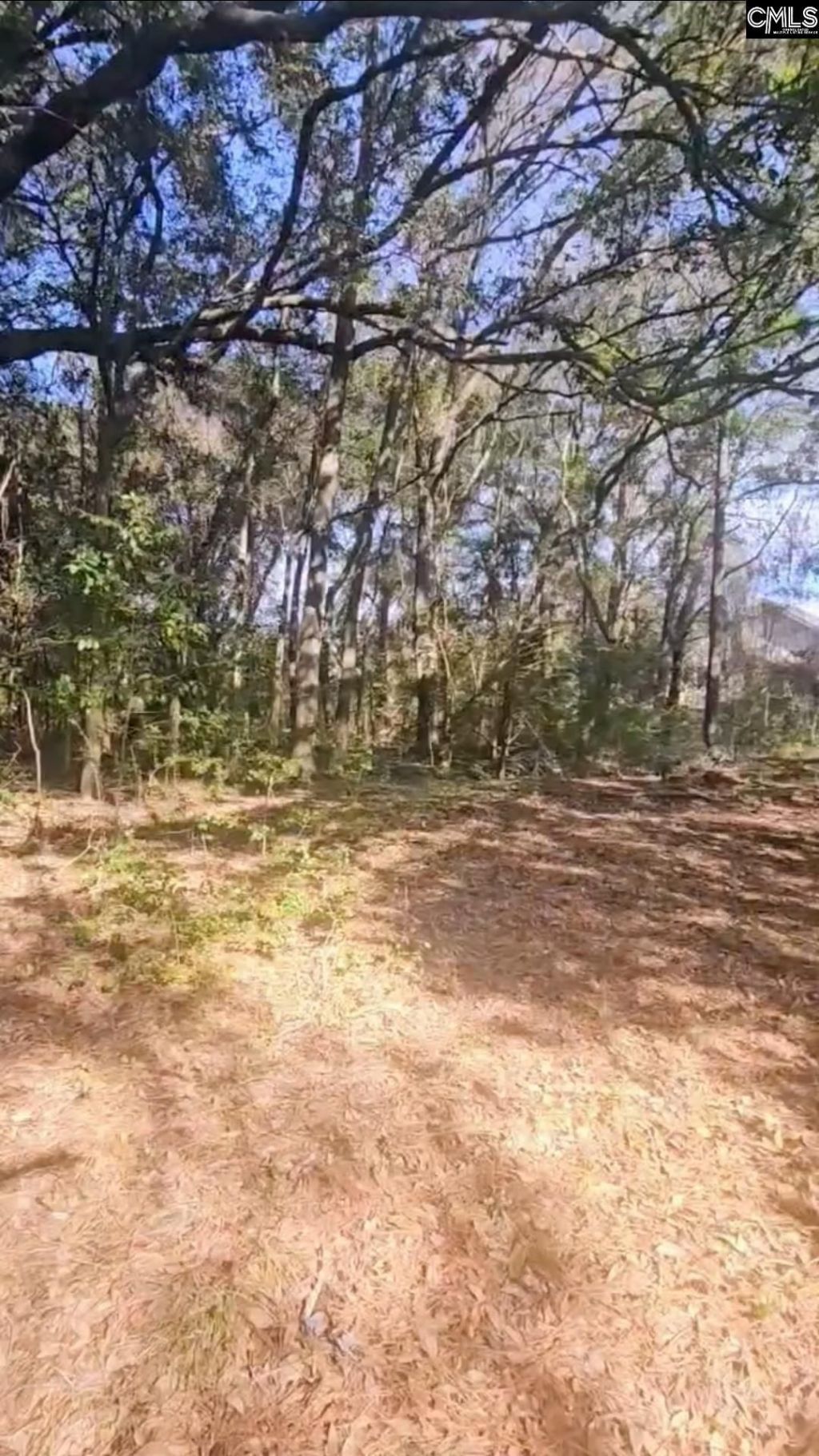 301 7th Avenue Photo 15