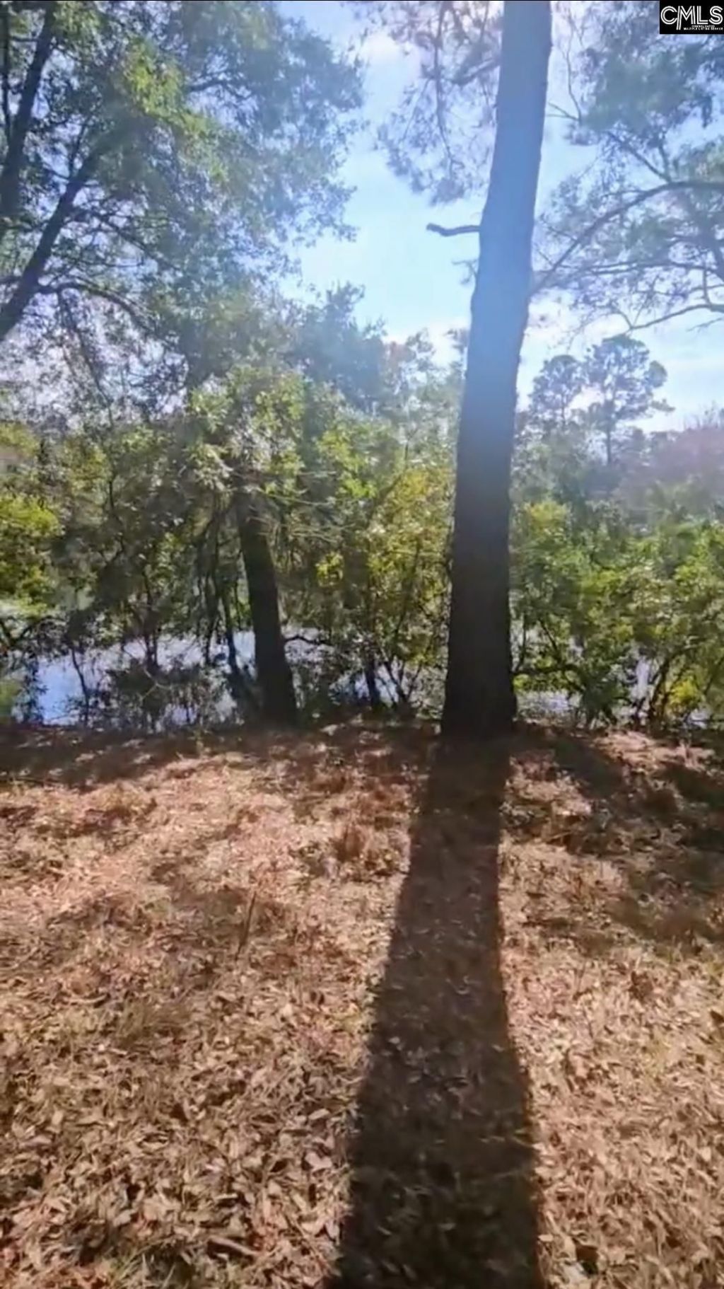 301 7th Avenue Photo 17