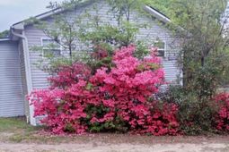 1201 Crescent Drive photo 4