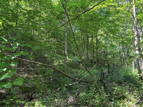 000 Fowl Hill Rd, Melcroft, PA 15462