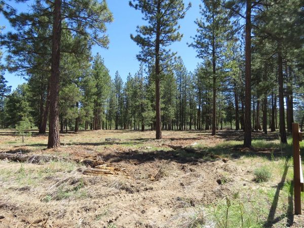 7 Castle Drive, Chiloquin, OR 97624