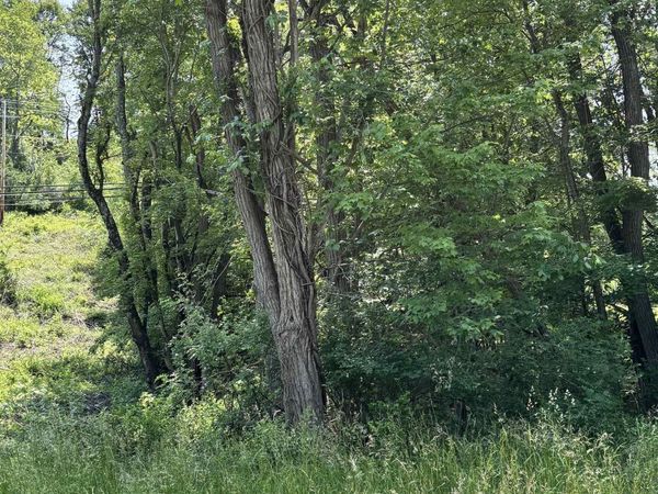 LOT 4 Barbour County Highway, Philippi, WV 26416