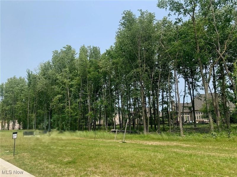 V/L Rocky Ridge Drive, Westlake, OH 44145 Photo 3