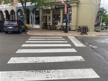 145 Riley Street, Dundee Vlg, MI 48131