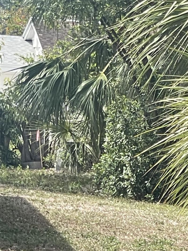 Jungle Way, Sarasota, FL 34243 Photo