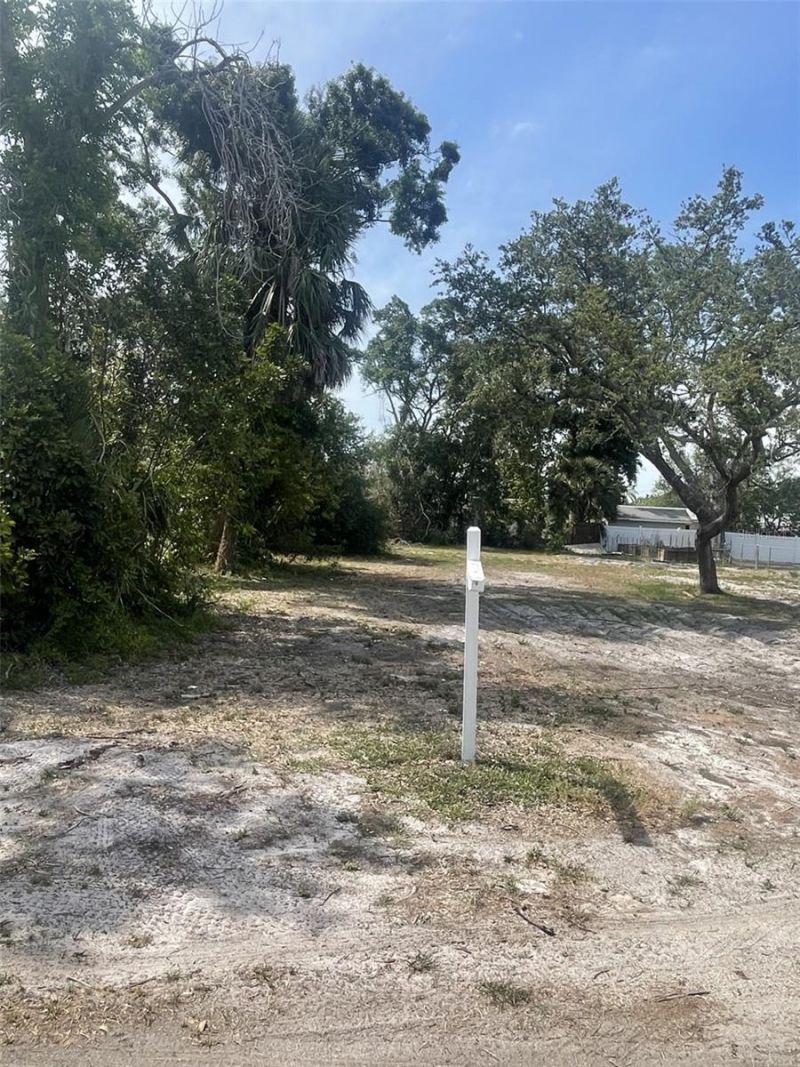 Jungle Way, Sarasota, FL 34243 Photo