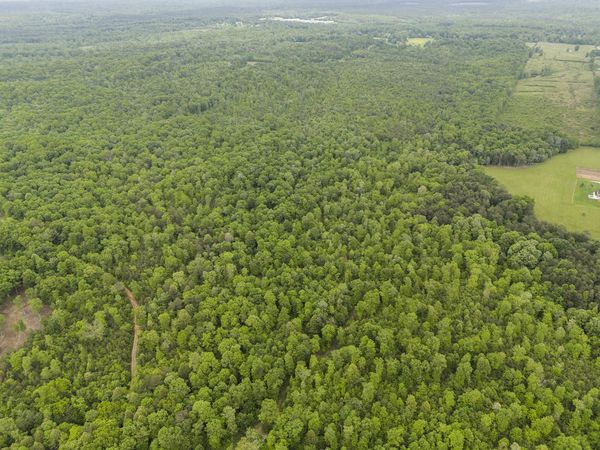 2361 Colony Road, Gruetli Laager, TN 37339