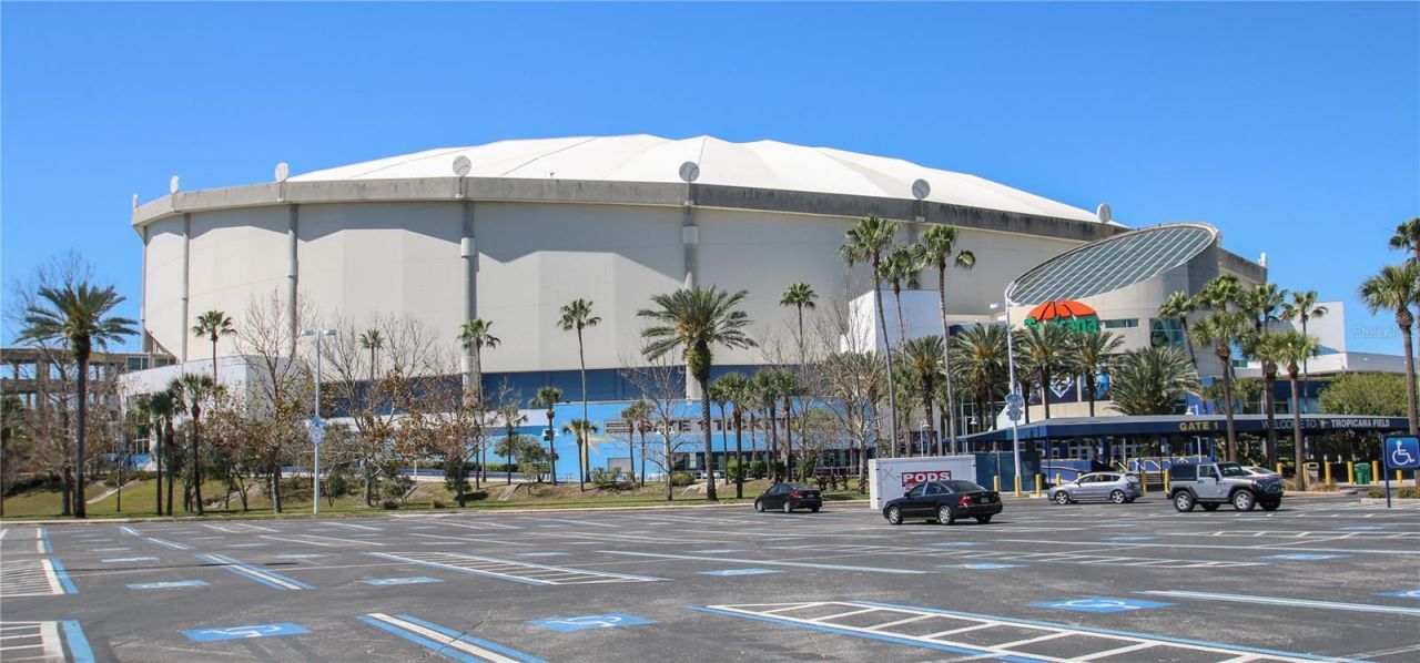 4783 Palermo Court Ne, Saint Petersburg, FL 33703 Photo