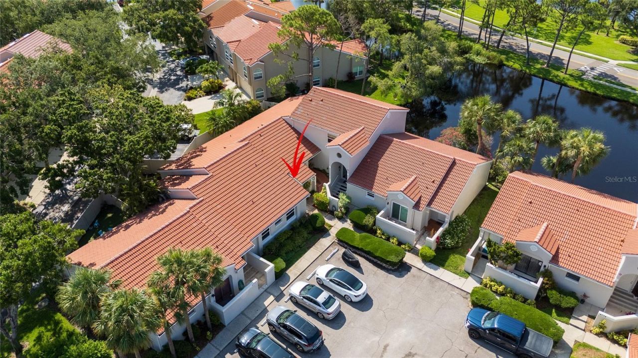 4783 Palermo Court Ne, Saint Petersburg, FL 33703 Photo