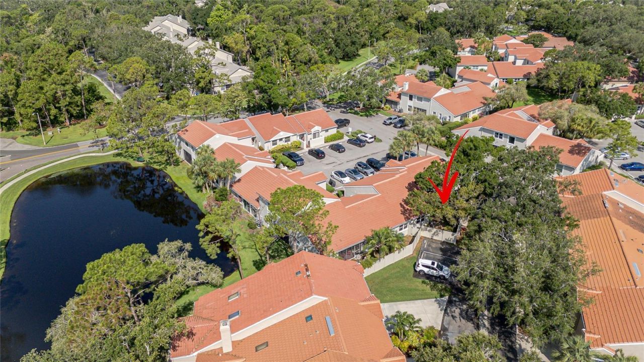 4783 Palermo Court Ne, Saint Petersburg, FL 33703 Photo