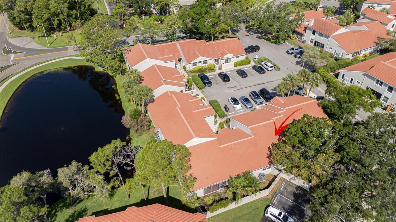 4783 Palermo Court Ne, Saint Petersburg, FL 33703 Photo