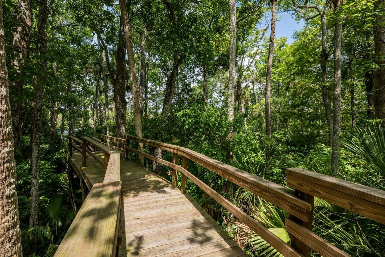 20 Twelve Oaks Trail, Ormond Beach, FL 32174 Photo