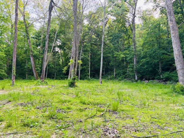 0 Laurel Road, Laurel, IN 47024