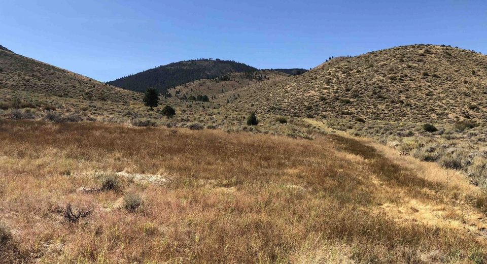 23 Dutchmans Road, Chilcoot, CA 00000 Photo