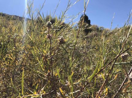 23 Dutchmans Road, Chilcoot, CA 00000 Photo