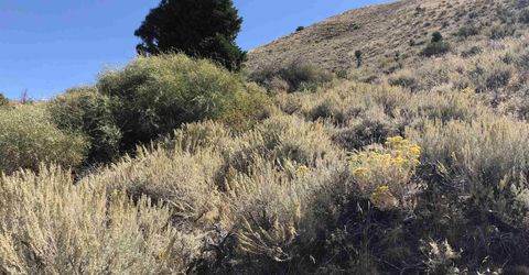 23 Dutchmans Road, Chilcoot, CA 00000 Photo