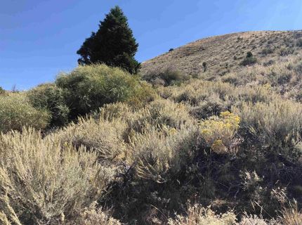 23 Dutchmans Road, Chilcoot, CA 00000 Photo
