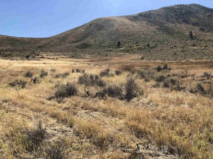 23 Dutchmans Road, Chilcoot, CA 00000 Photo