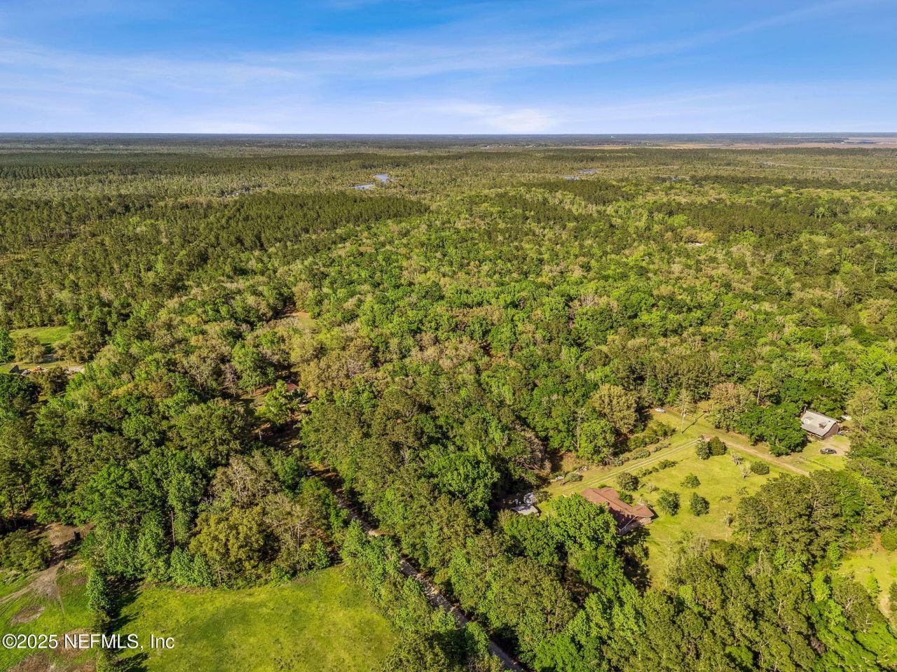 17263 Black Cow Trail, Jacksonville, FL 32218 Photo