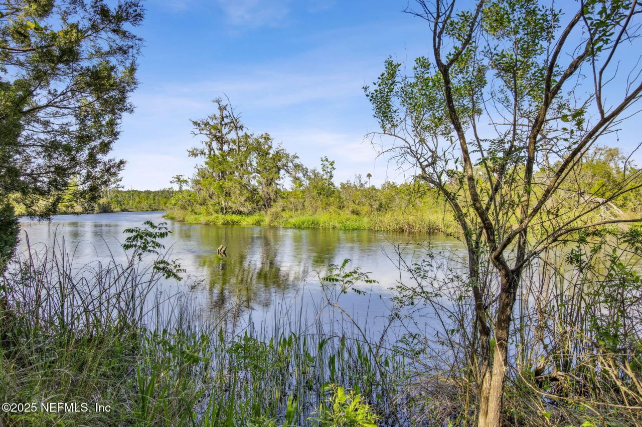 17263 Black Cow Trail, Jacksonville, FL 32218 Photo