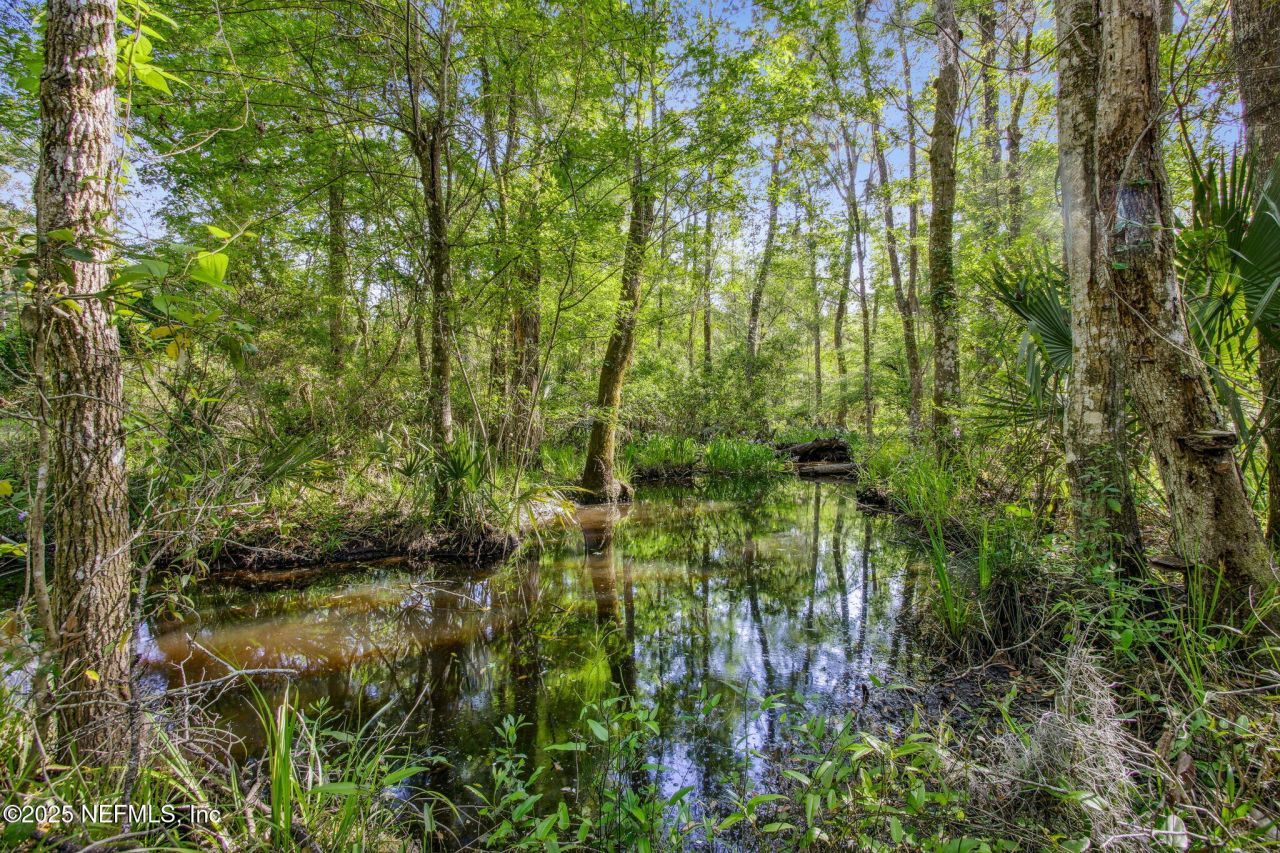 17263 Black Cow Trail, Jacksonville, FL 32218 Photo