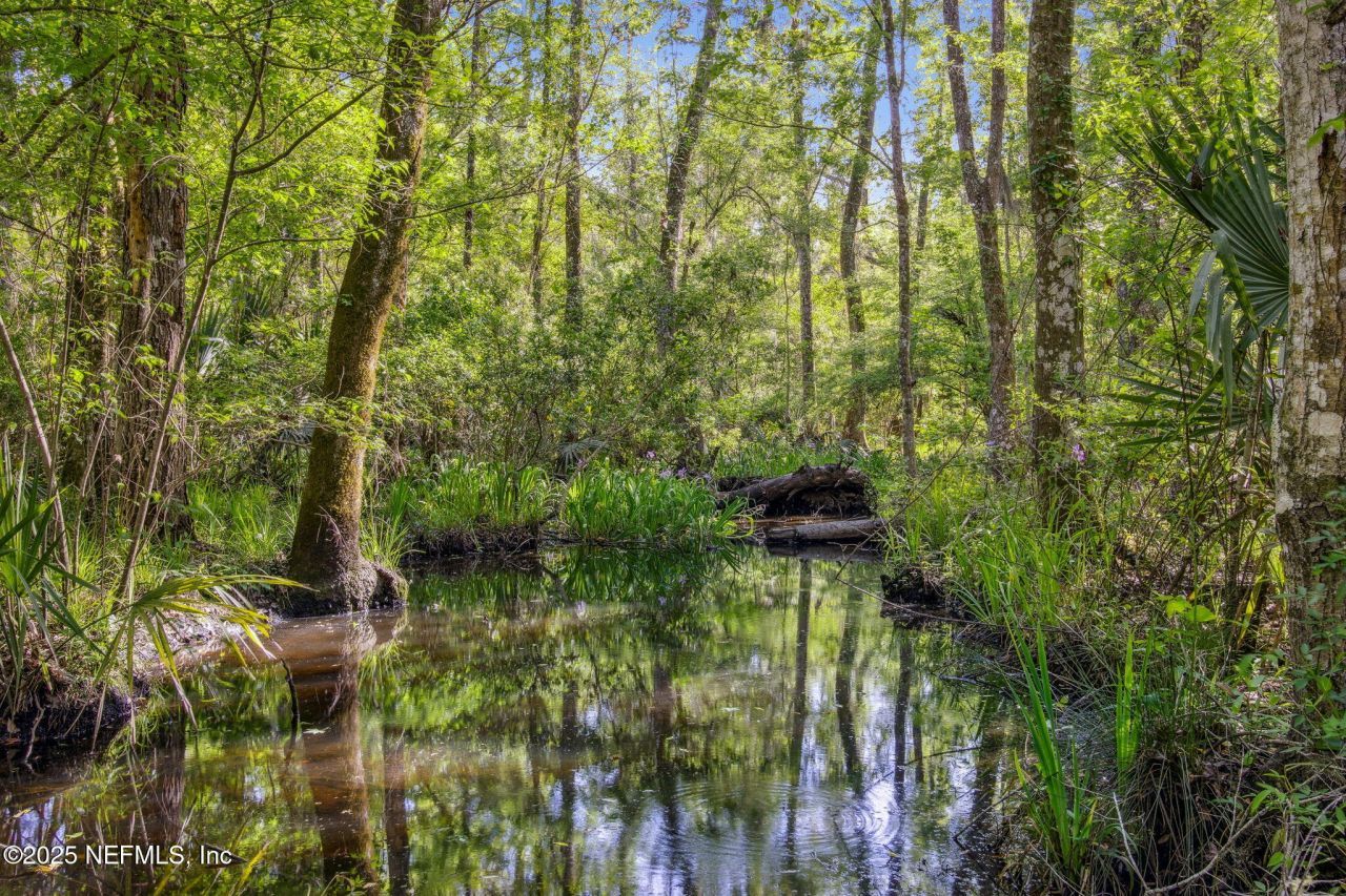 17263 Black Cow Trail, Jacksonville, FL 32218 Photo