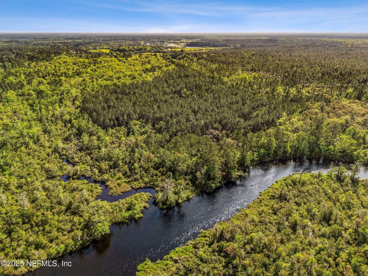 17263 Black Cow Trail, Jacksonville, FL 32218 Photo