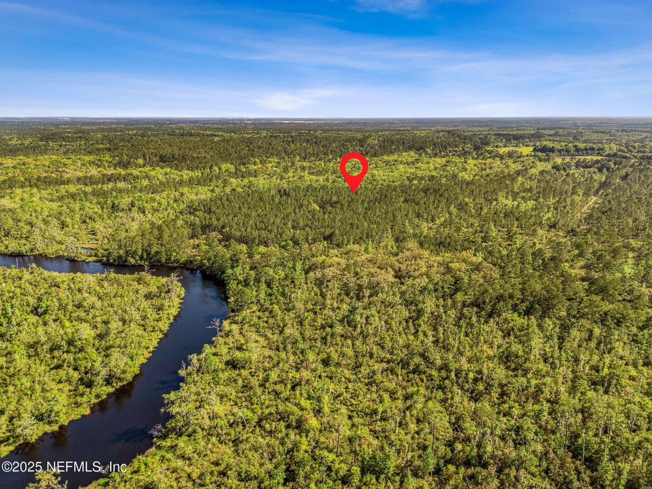 17263 Black Cow Trail, Jacksonville, FL 32218 Photo