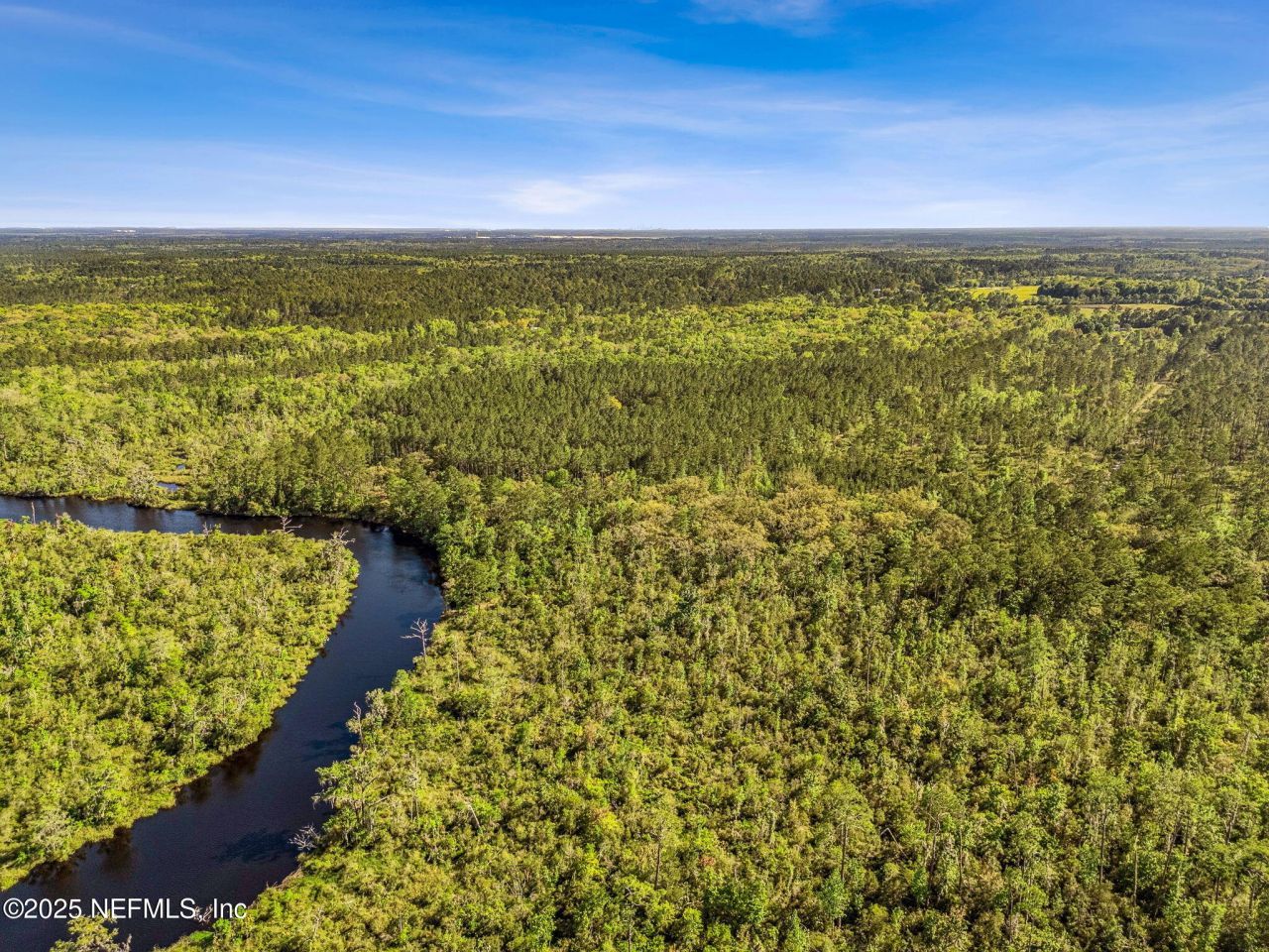 17263 Black Cow Trail, Jacksonville, FL 32218 Photo