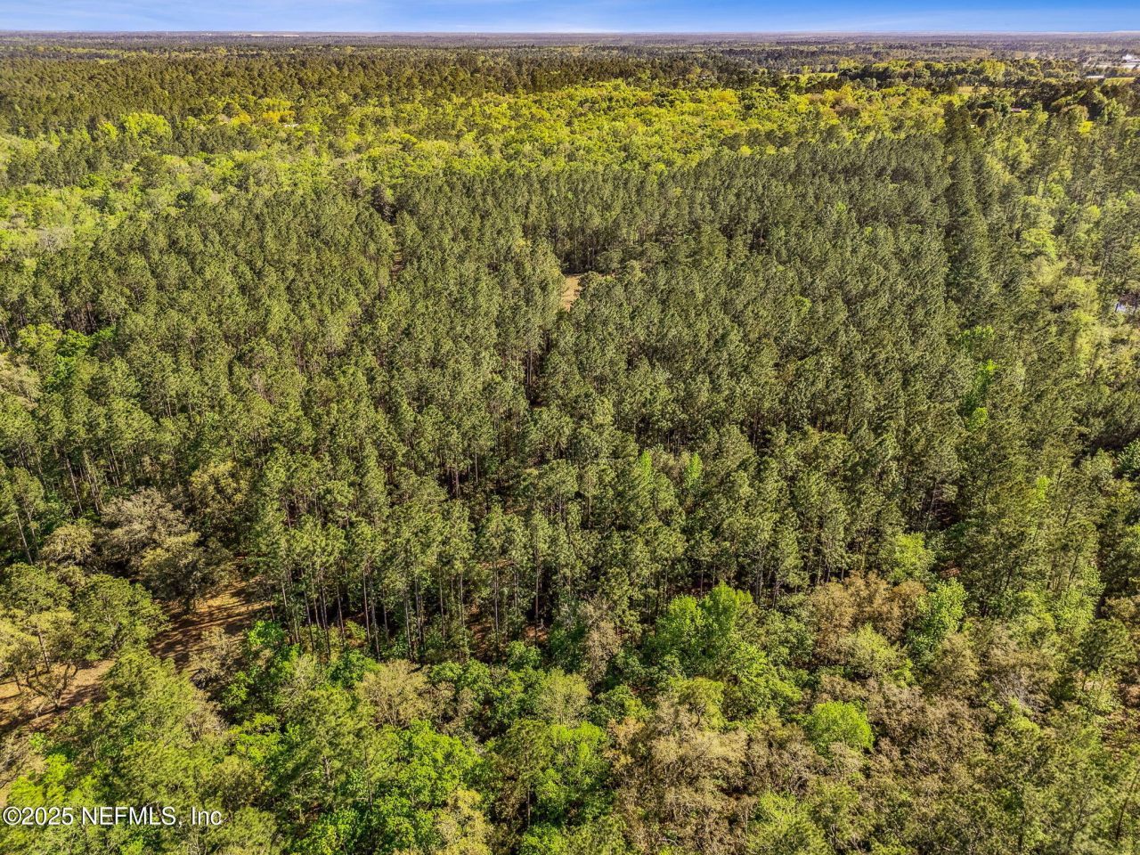 17263 Black Cow Trail, Jacksonville, FL 32218 Photo