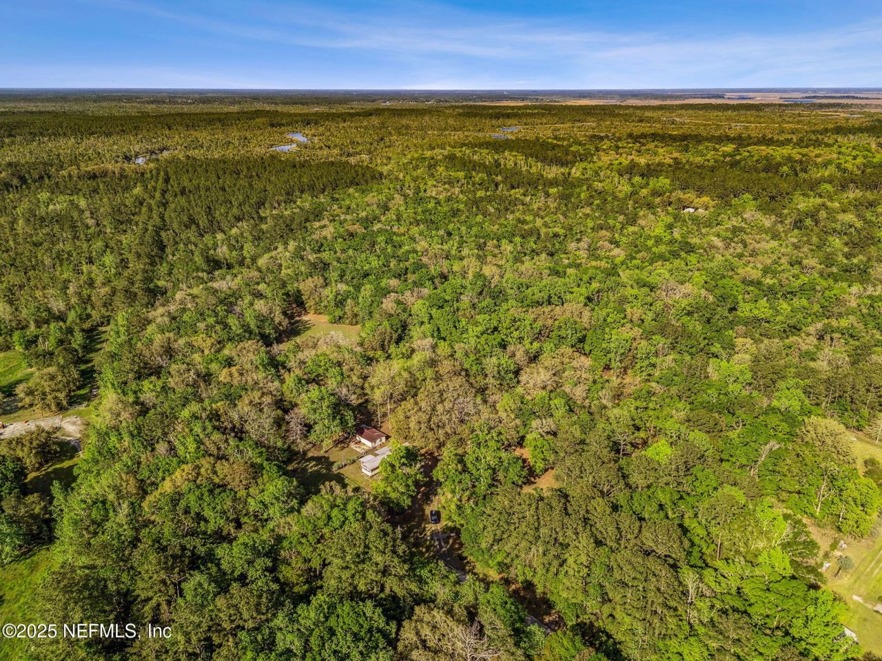 17263 Black Cow Trail, Jacksonville, FL 32218 Photo