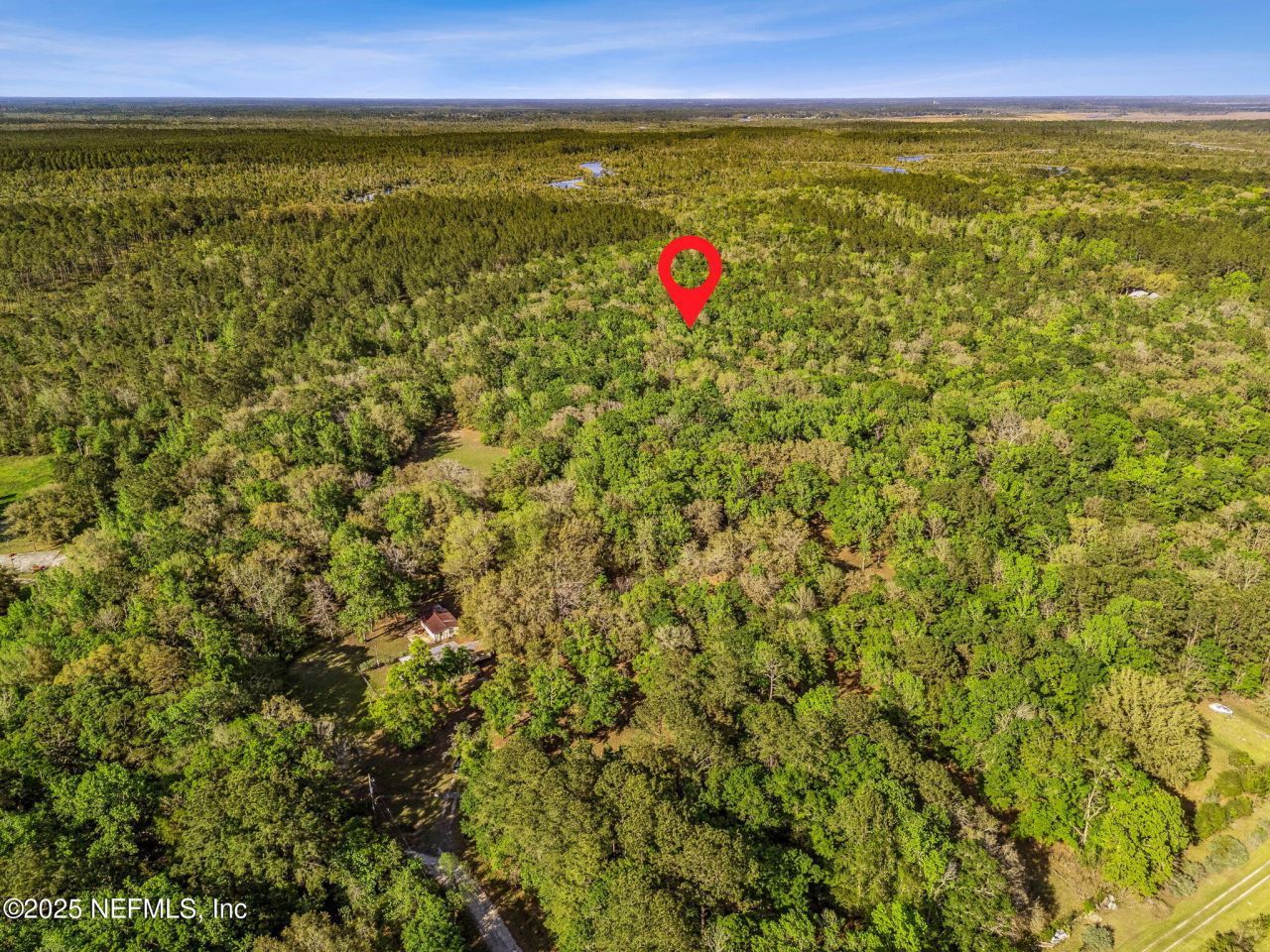 17263 Black Cow Trail, Jacksonville, FL 32218 Photo