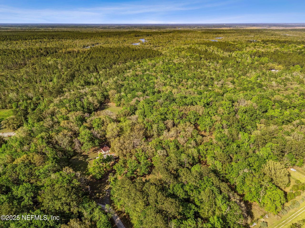 17263 Black Cow Trail, Jacksonville, FL 32218 Photo