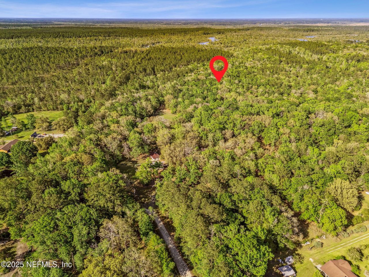 17263 Black Cow Trail, Jacksonville, FL 32218 Photo